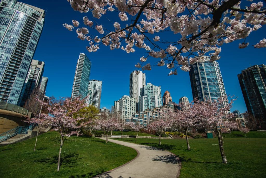 Vancouver cognitive training center